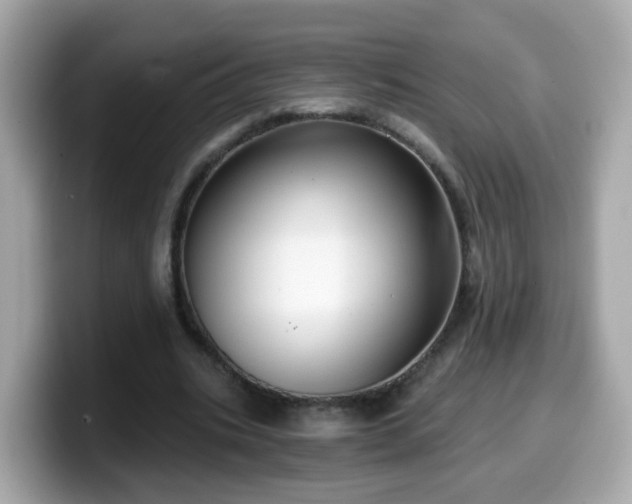 X0000099560535200805231514