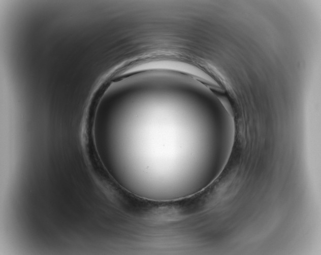 X0000099560536200805231514