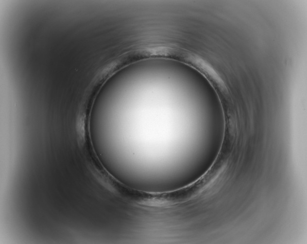 X0000099560537200805231514