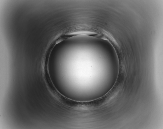 X0000099560538200805231514