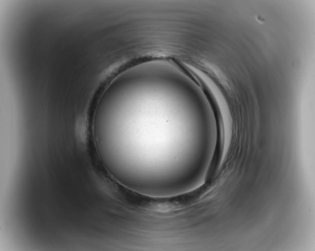 X0000099560540200805231514