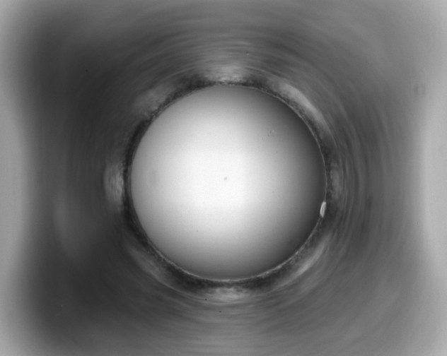 X0000099560541200805231514