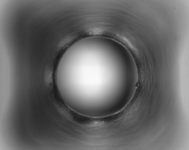 X0000099560543200805231514