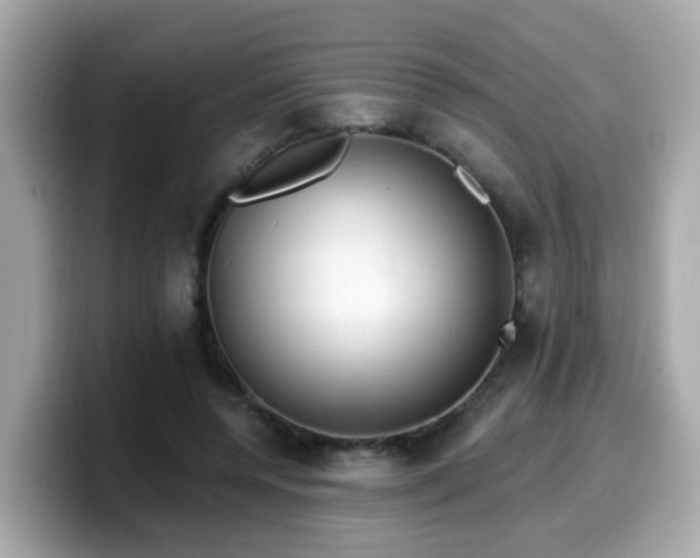 X0000099560544200805231514