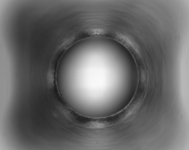 X0000099560545200805231514