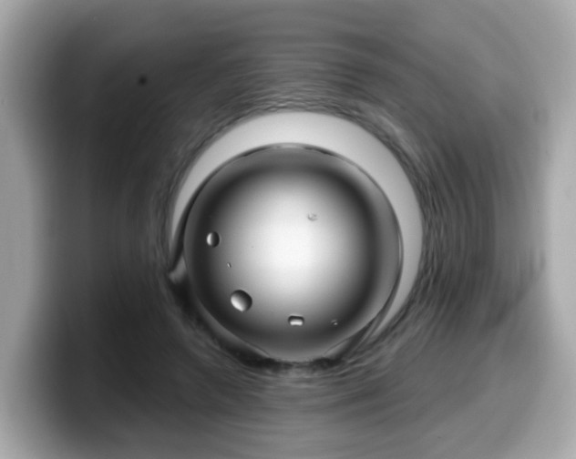 X0000099560546200805231514