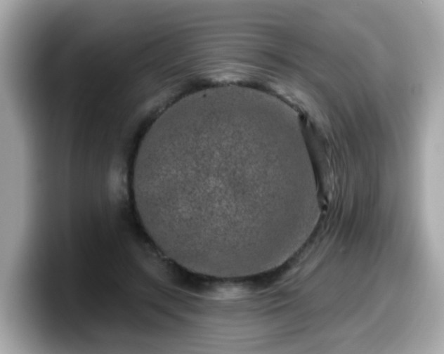 X0000099560547200805231514