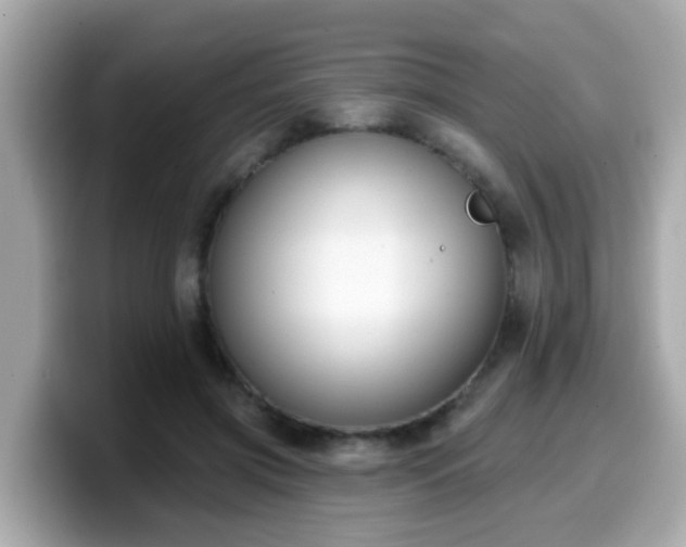 X0000099560549200805231514