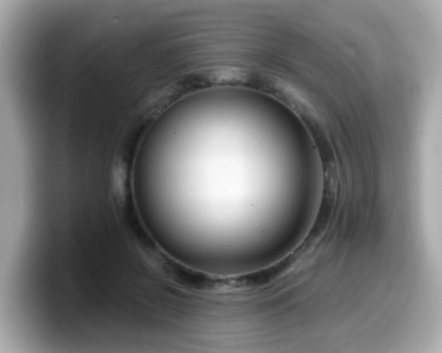 X0000099560550200805231514