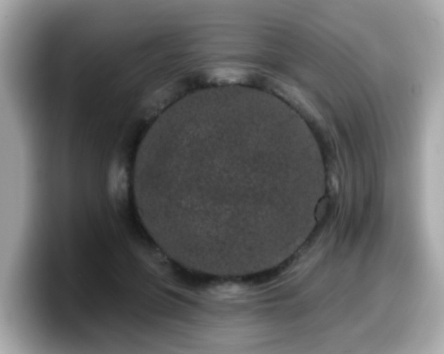 X0000099560551200805231514