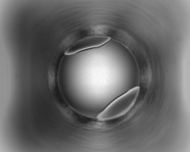 X0000099560552200805231514