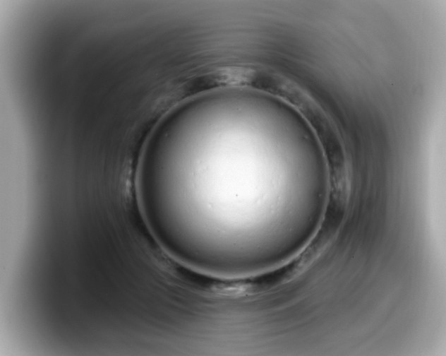 X0000099560553200805231514