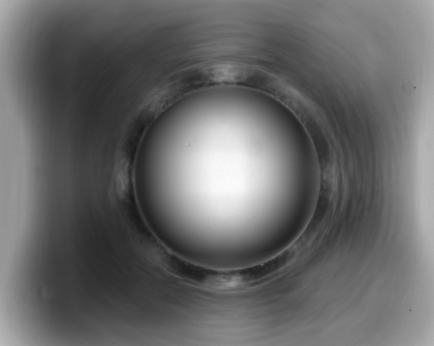 X0000099560554200805231514