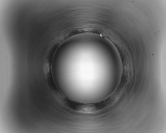 X0000099560555200805231514