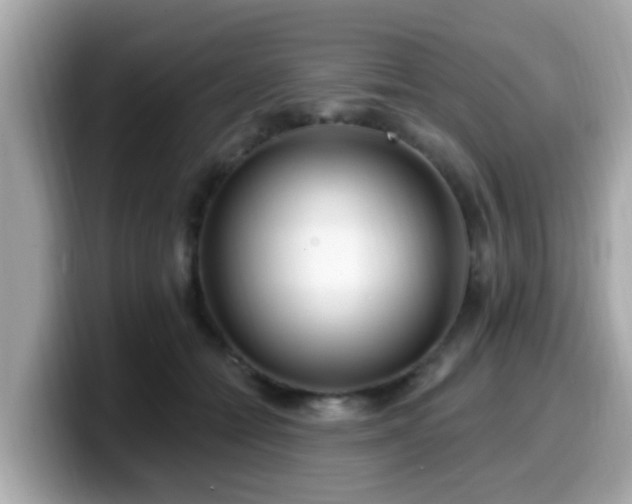 X0000099560558200805231514