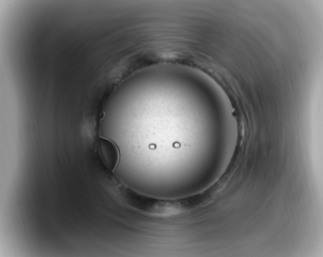 X0000099560559200805231514