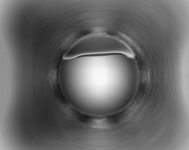 X0000099560560200805231514