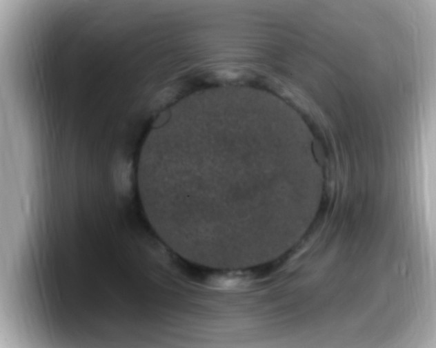 X0000099560563200805231514