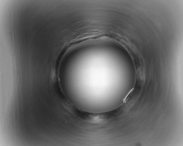 X0000099560564200805231514