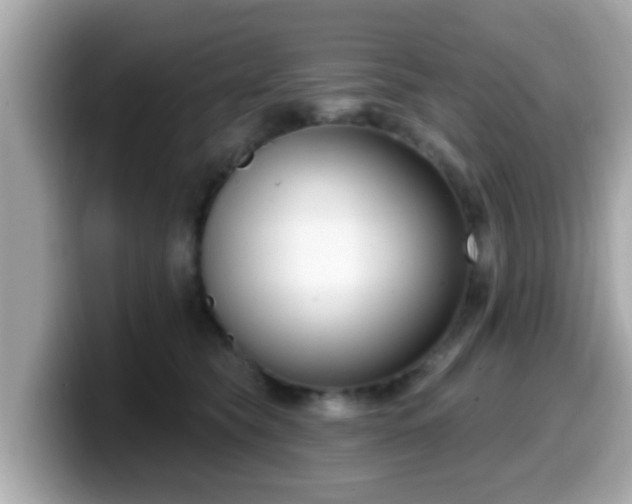 X0000099560565200805231514