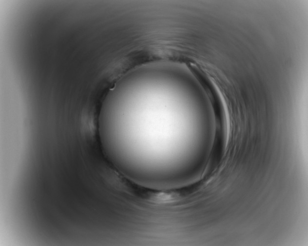 X0000099560566200805231514