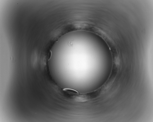 X0000099560567200805231514