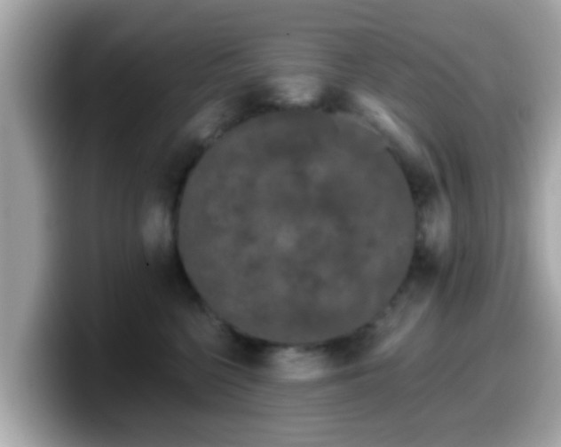 X0000099560568200805231514