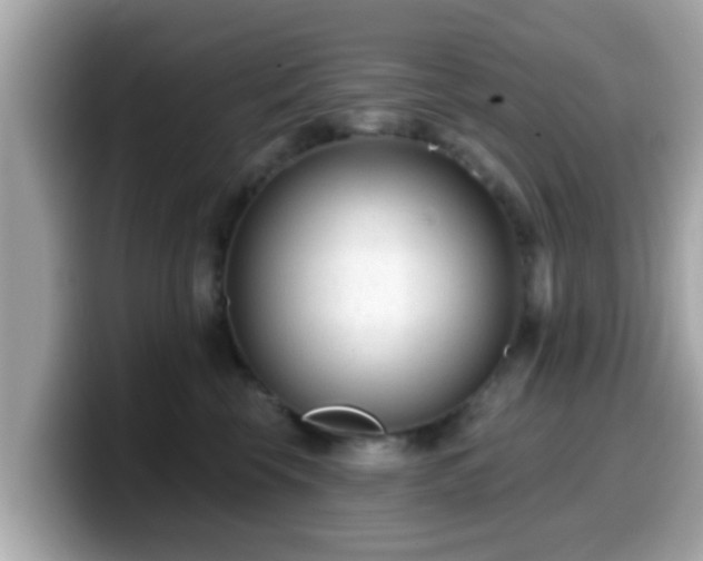 X0000099560569200805231514