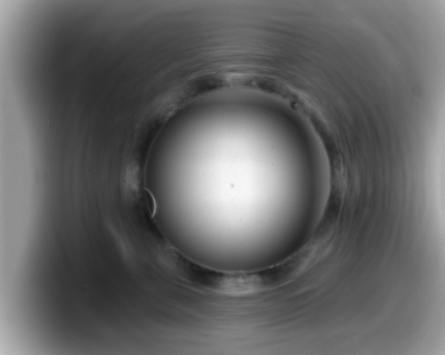 X0000099560571200805231514