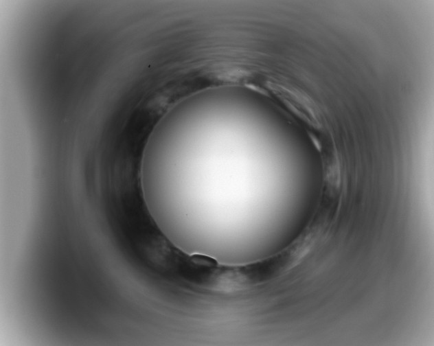 X0000099560572200805231514