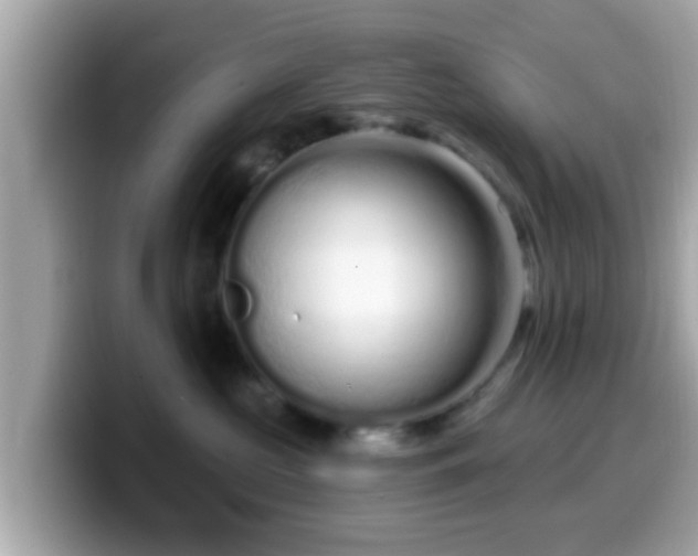 X0000099560573200805231515