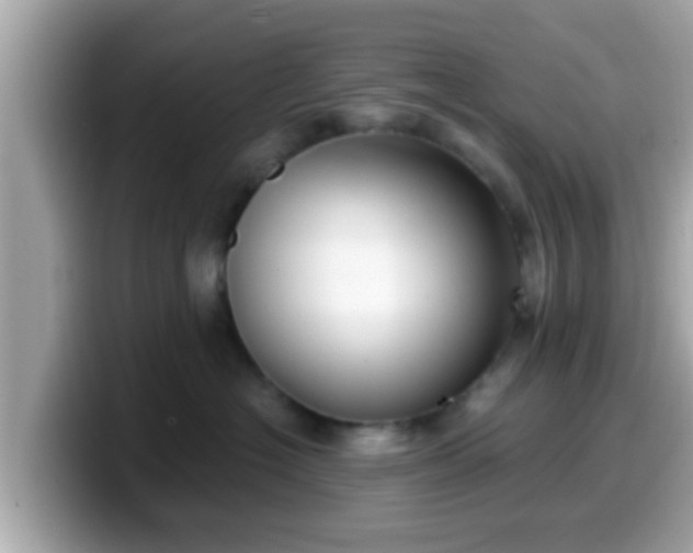 X0000099560574200805231515