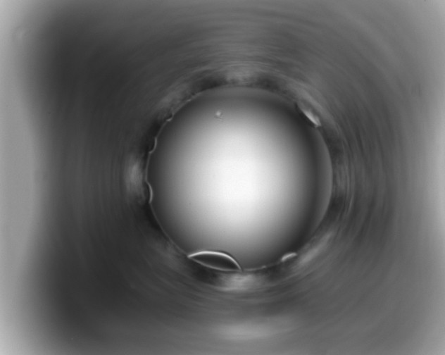 X0000099560575200805231515