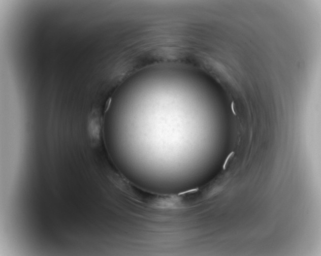 X0000099560576200805231515