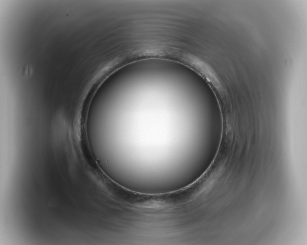 X0000099560578200805231514