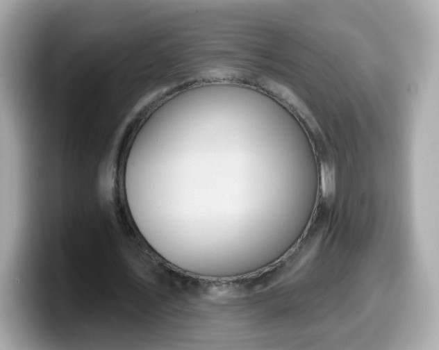 X0000099560579200805231514