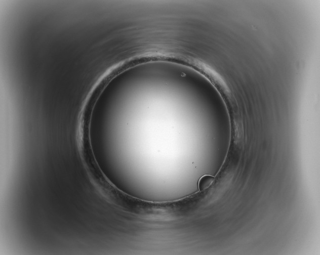 X0000099560580200805231514