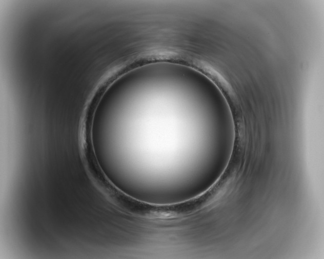 X0000099560582200805231514