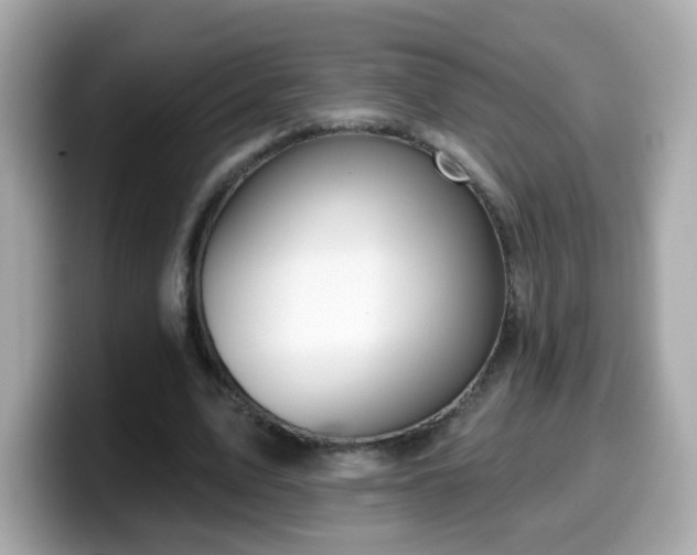 X0000099560583200805231514