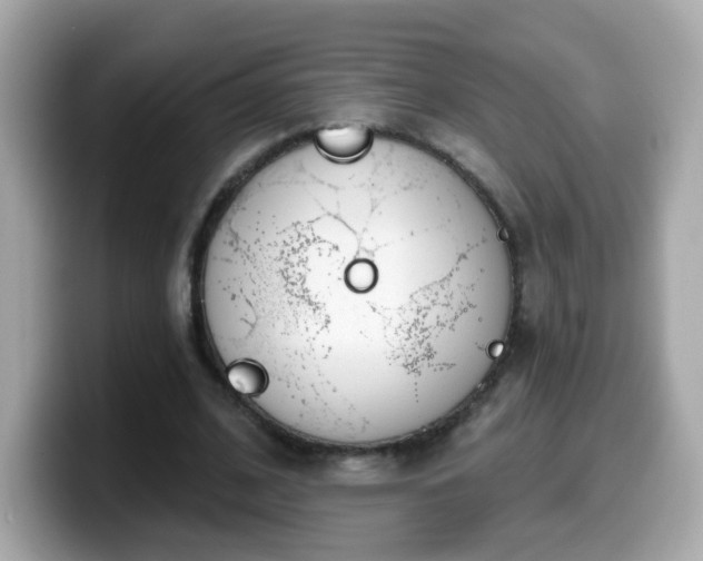 X0000099560584200805231514