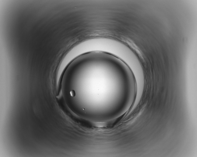 X0000099560585200805231514