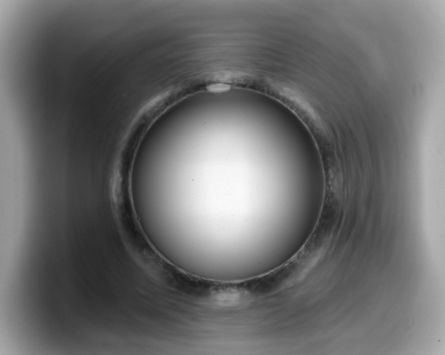 X0000099560587200805231514