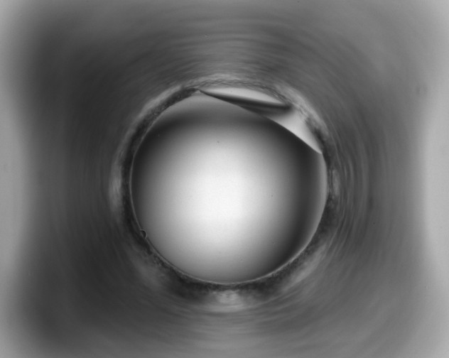 X0000099560588200805231514