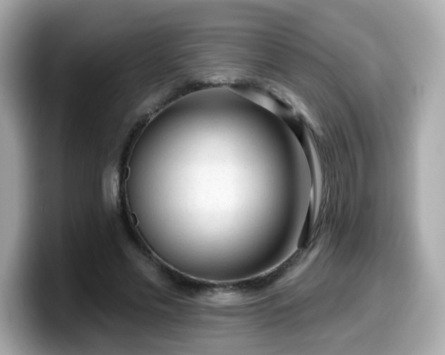 X0000099560589200805231514