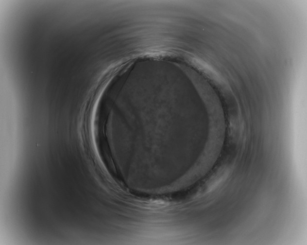 X0000099560592200805231514