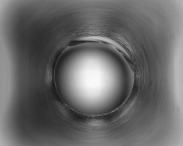 X0000099560593200805231514