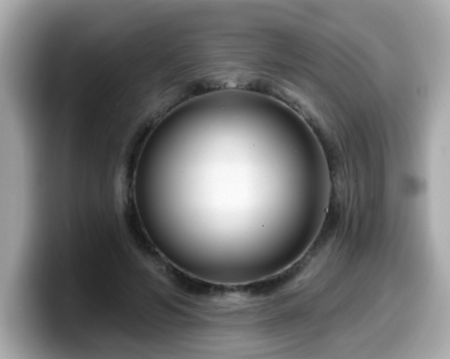 X0000099560594200805231514