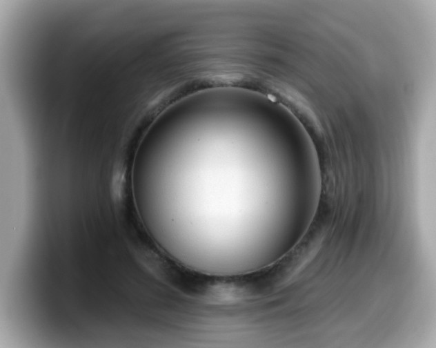 X0000099560596200805231514