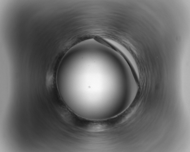 X0000099560597200805231514