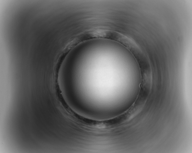 X0000099560600200805231514